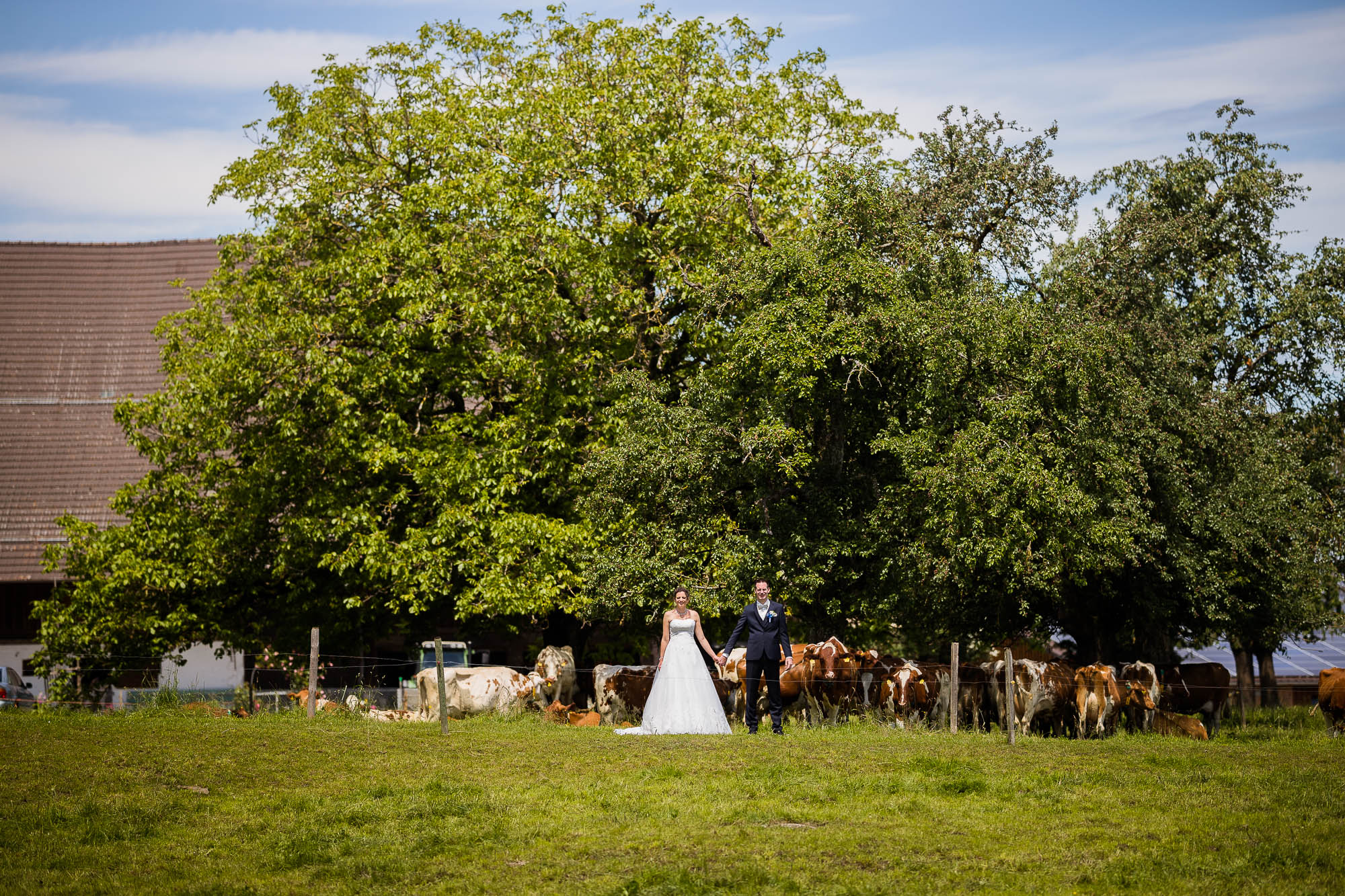 Export x3 1DX27517 Hochzeit 2020 Claudia & Marco